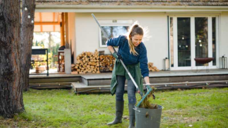 Is Kikuyu Grass Seed the Best Choice for Fast-Growing Australian Lawns?